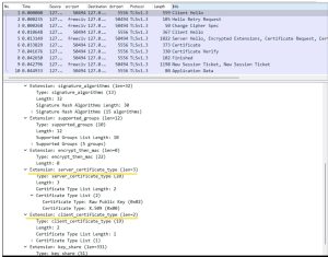 An image of the packet captured with Wireshark