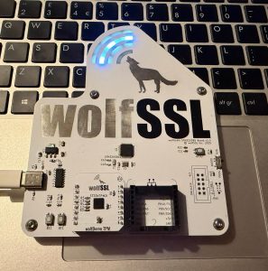 the wolfDemo board with onboard LED indicators